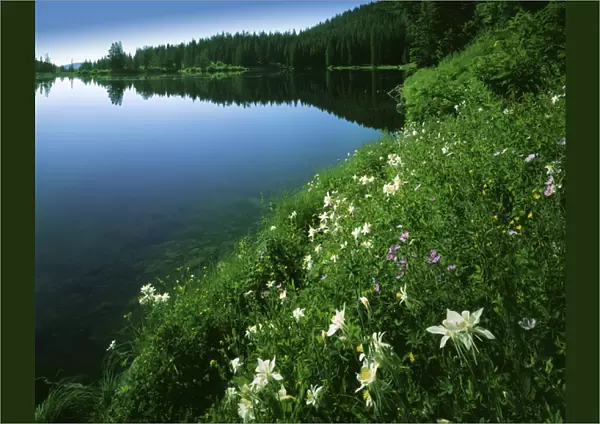 USA, Utah, Uinta-Wasatch-Cache National Forest, Tony Grove Lake