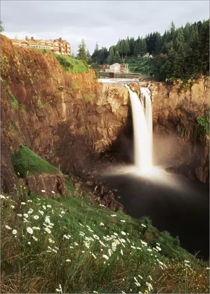 USA, Washington State, Salish Lodge and English Daisies overlook the 270 foot faller