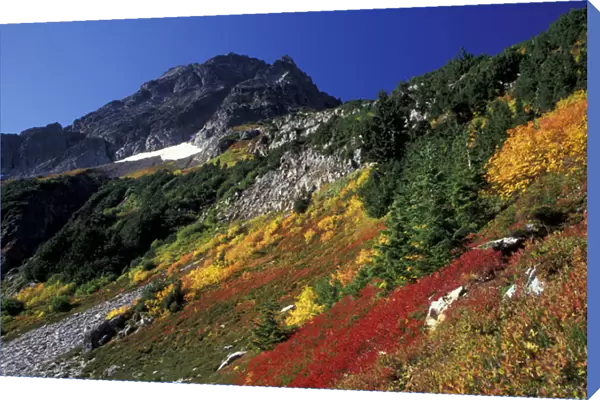 North America, USA, WA, North Cascades NP Autumn at Cascade Pass with Mix-up peak