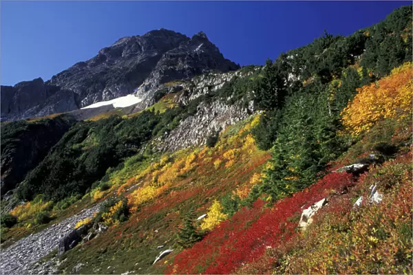 North America, USA, WA, North Cascades NP Autumn at Cascade Pass with Mix-up peak