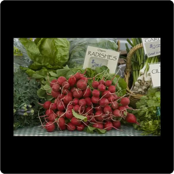 Organic Radishes For Sale at Carnation Farmers Market, Carnation, Washington, US