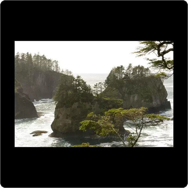 Cape Flattery - northwesternmost point of lower 48 USA. Sea Stacks. UNESCO World Heritage Site