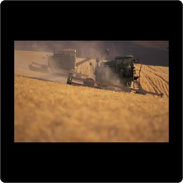 N. A. USA, Washington, Dusty Wheat combines at fall harvest