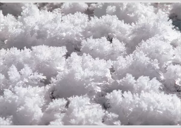 N. A. USA, Wyoming, Oxbow Bend Grand Teton National Park Ice Crystals