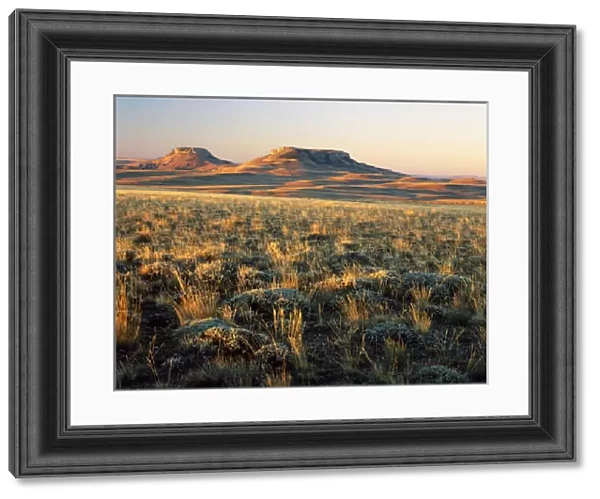 WYOMING. USA. Grasses & sagebrush on Continental Divide at sunrise. Oregon Buttes in distance