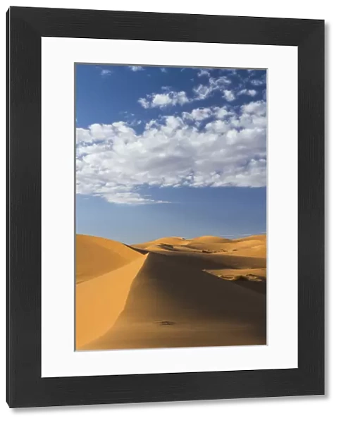 Africa, Morocco, Sahara. A classic landscape of the dunes in Erg Chebbi