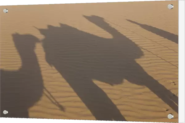 Shadows of a camel train, Thar Desert, Rajasthan, India