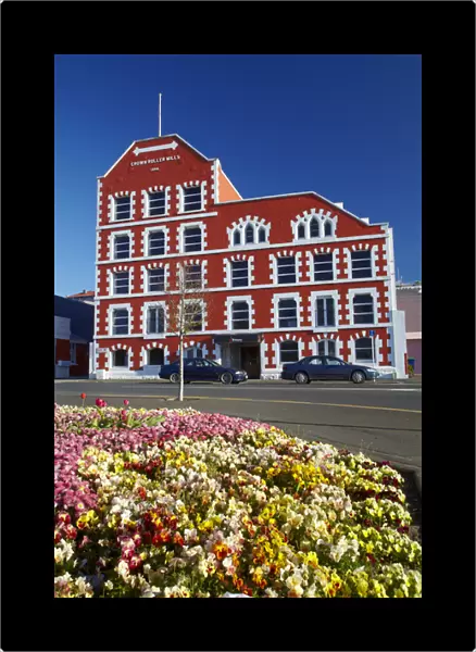 Spring flowers and historic Crown Mills Building, Dunedin, Otago, South Island, New