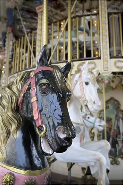 Europe, France, Rhone-Alpes, Lyon. Horse carousel, Place de la Republique