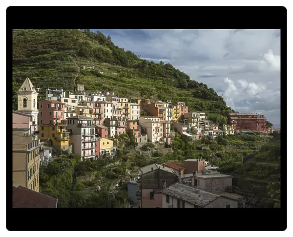 Italy, Cinque Terre, Manarola. View of Manarolas houses amidst the steep hillsides