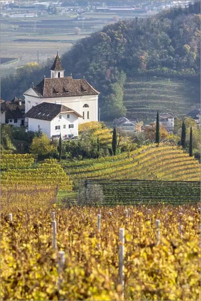 Vineyards and church of Missian (Missiano) close to Eppan (Appiano) in the Ueberetsch