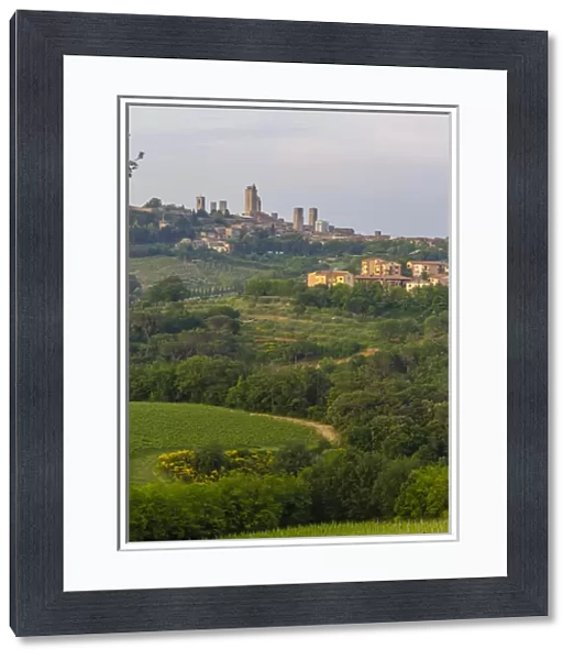 San Gimignano Skyline. Tuscany. Italy
