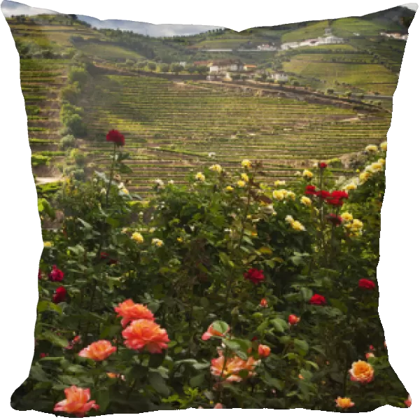 Europe; Portugal; Duoro Valley; Terraced Vineyards linning the hills of the Duoro Valley
