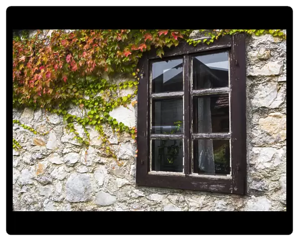 Ivy and window, Korana Village, Plitvice Lakes National Park, Croatia