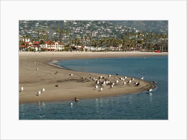 USA: California, Santa Barbara, views from Santa Barbara Harbor of the city, sand spit