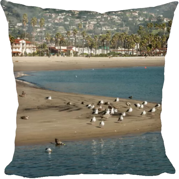 USA: California, Santa Barbara, views from Santa Barbara Harbor of the city, sand spit