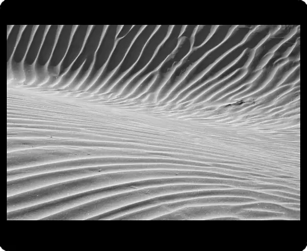 USA California Valley Dunes 26