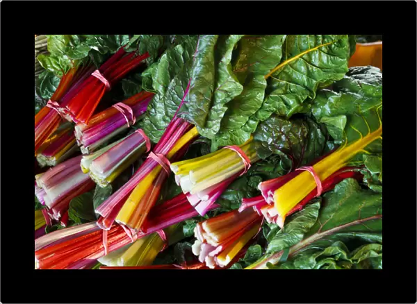Swiss chard at the Community Supported Agriculture (CSA) pick-up at the Crimson