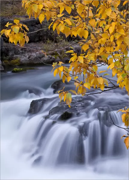 USA, Oregon. Rogue River waterfalls in autumn