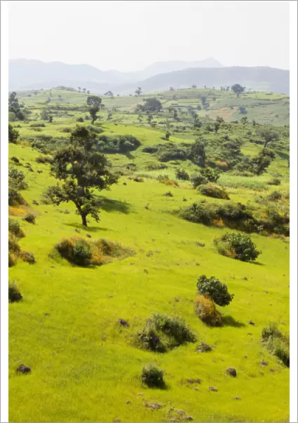 Landscape between Gonder and Lake Tana in Ethiopia. This fertile region is farmed