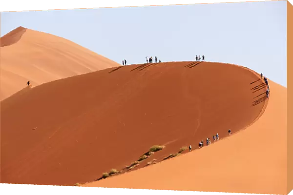 Africa; Namibia; Namib Desert, Namib-Naukluft National Park; Sossusvlei, Elim Dune