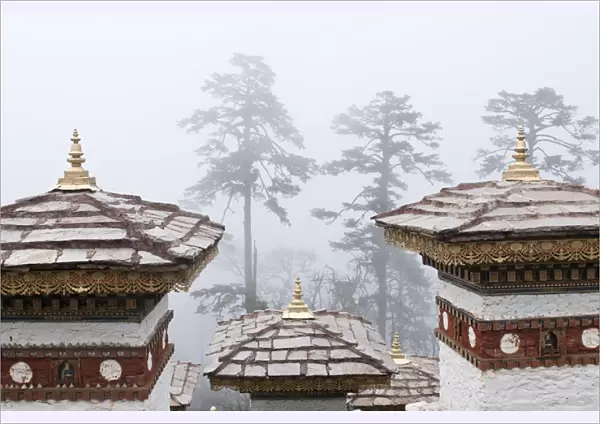Asia, Bhutan, Dochu La. Close-up of chortens or stupas and trees in fog. Credit as