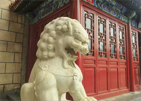 Lion statue  /  Tea Shop near Shopping area, Southern Central area of Beijing, China