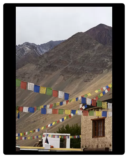 India, Ladakh, Alchi, colorful buddhist prayer flags with Himalayas in the background