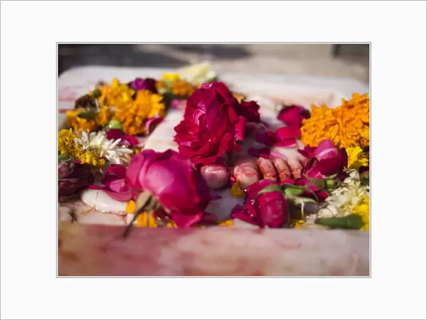 Variety of flowers for religious offering in temple in Udaipur, Rajasthan, India
