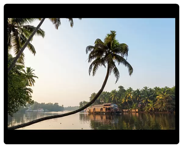 Kerala backwaters nr Alleppey (Alappuzha), Kerala, India