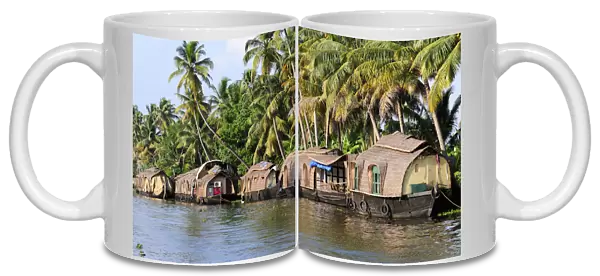 Asia, India, Kerala (Backwaters). Kerala houseboats docked alongside a Backwaters canal