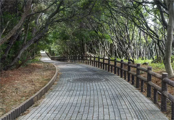 Japan, Wakagama Prefecture. Brick pathway near the Sandanbeki Cliffs