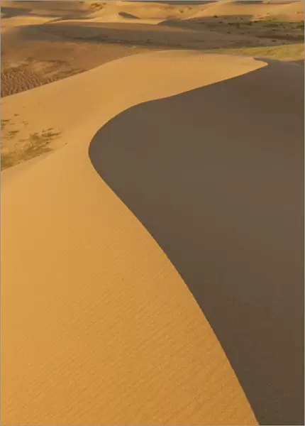 Sand Dunes at sunrise. Gobi desert. Mongolia