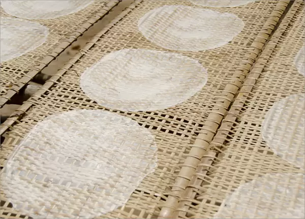 Vietnam, Cu Chi, Lang Banh Trang. Ultra thin rice paper used in typical