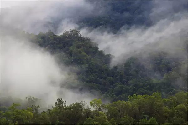 Thick cloud covers the tropical rainforest covered mountains that surround Cairns