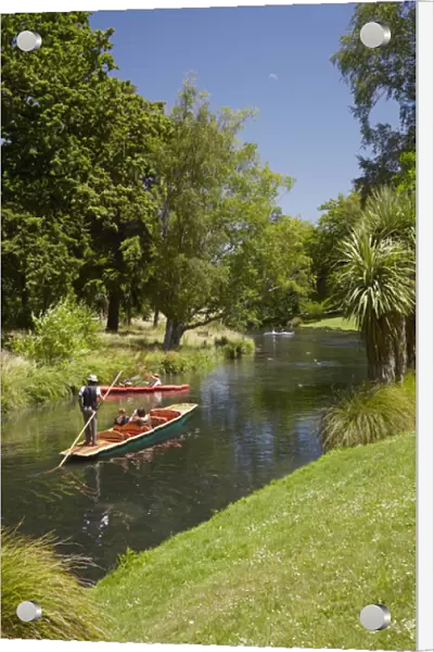 Punting on the Avon, Christchurch, Canterbury, South Island, New Zealand