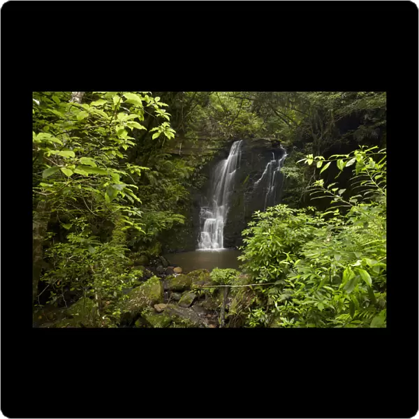 Horseshoe Falls, Matai Falls, Catlins, South Otago, South Island, New Zealand