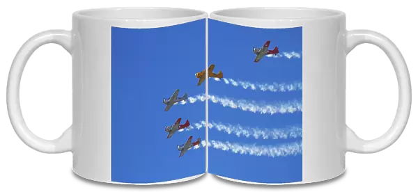 Aerobatic display by North American Harvards, or T-6 Texans, or SNJs