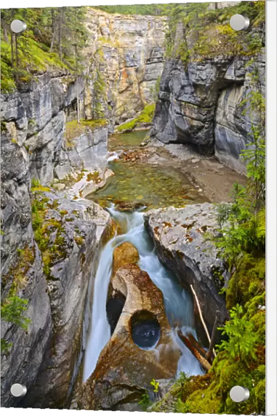 Canada, Alberta, Jasper National Park. Maligne River flows down Maligne Canyon. Credit as