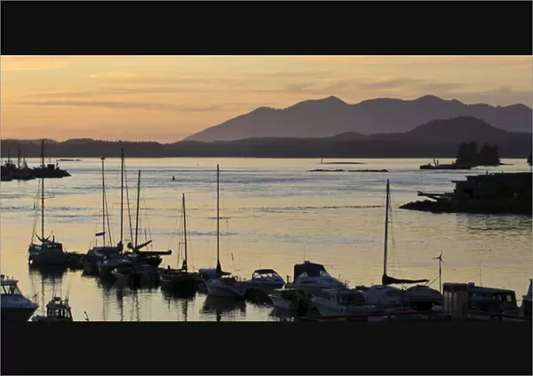 Vancouver Island. Sunset boats at Tofino