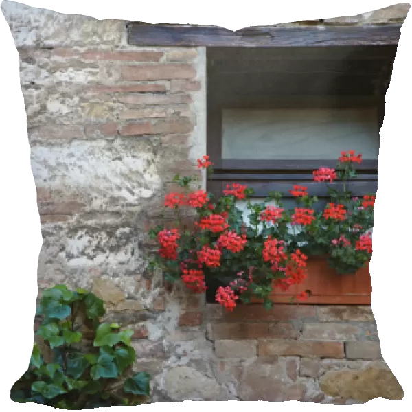 Europe, Italy, San Quirico d Orcia. Flowers in a window in a Tuscan village. Credit as