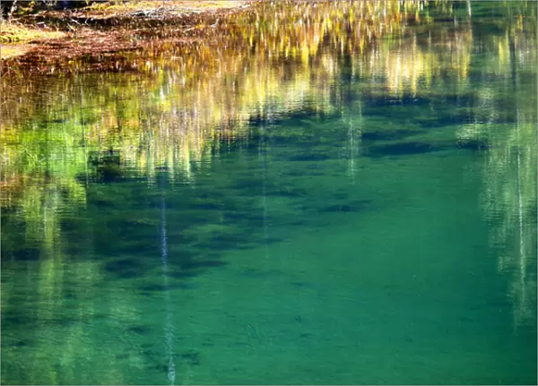 Green Yellow Moss Underwater Reflection Abstract Gold Lake Snoqualme Pass Washington