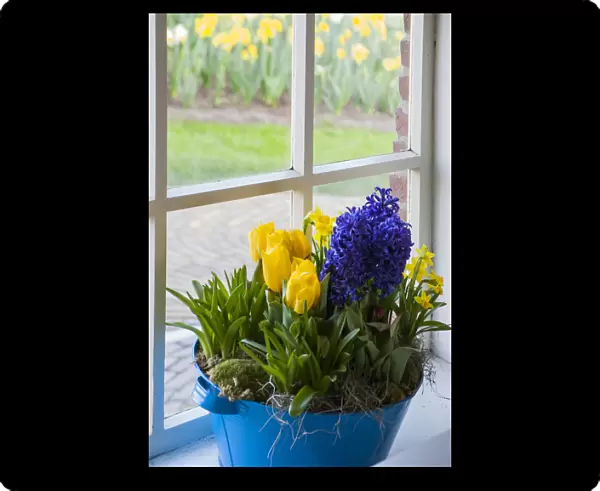 Window with spring flower arrangement