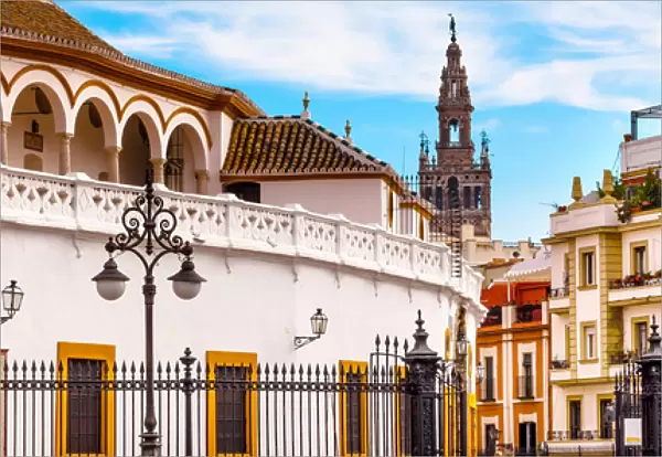 Bull Fight Ring Stadium Cityscape Giralda Spire Bell Tower, Seville Cathedral Andalusia