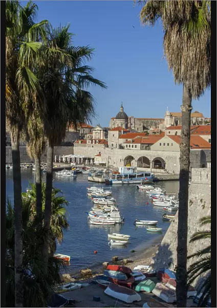 Europe, Croatia, Dubrovnik, boats in harbor