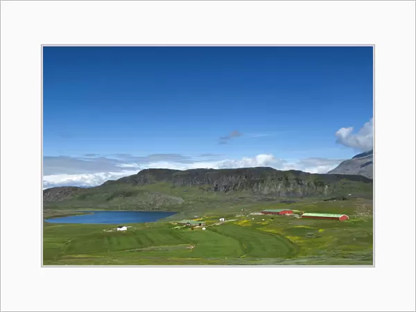 Greenland, Itilleq. One of the scattered sheep farms of Itilleq, Greenland