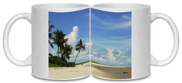 Brazil, Pernambuco, Ilha de Itamaraca, Corrao de Aviao, white beach with palm trees