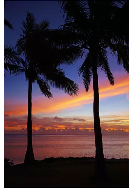 Sunset and palm trees, Coral Coast, Viti Levu, Fiji, South Pacific