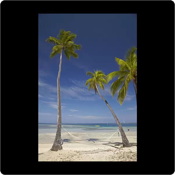 Hammock and palm trees, Plantation Island Resort, Malolo Lailai Island, Mamanuca Islands