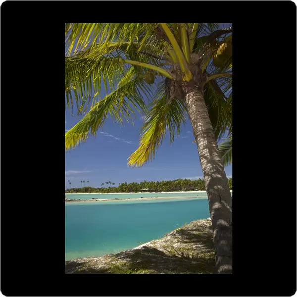 Palm trees and lagoon entrance, Musket Cove Island Resort, Malolo Lailai Island, Mamanuca Islands
